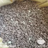 فروش دانه های روغنی با کیفیت در تهران در گروه خرید و فروش دانه های روغنی در یکمیوه