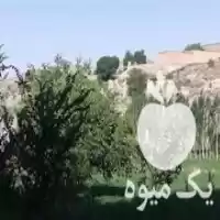 یونجه زدن با دستگاه در قوچان در گروه خدمات باغبانی در یکمیوه