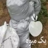 فروش کود گاوی خشک کیسه در نکا در گروه خرید و فروش کود گاوی در یکمیوه