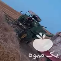 قیمت خرید چیدن گندم با کمباین در زنجان در گروه خدمات کمباین زمین در یکمیوه