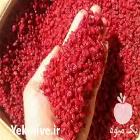 قیمت خرید عمده زرشک قاینات در بیرجند در گروه خرید و فروش زرشک در یکمیوه