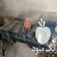 سورتینگ موسیر در همدان در گروه سورتینگ در یکمیوه