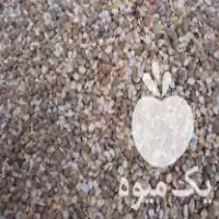 فروش نخود خرد شده مخصوص دان در گروه خوراک دام و طیور در یکمیوه