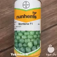 بذر هندوانه خارجی فروش قیمت بذر در گروه خرید و فروش بذر هندوانه در یکمیوه