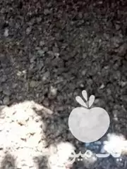 قیمت خرید کود سفید برای شالی در گروه خرید و فروش کود سفید در یکمیوه -عکس1