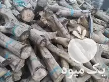 قیمت خرید چوب زغالی تامسون در نکا در گروه خرید و فروش چوب زغالی در یکمیوه -عکس1