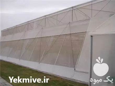 قیمت خرید توری ضد حشره در گروه خرید و فروش توری گلخانه در یکمیوه -عکس1