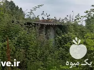 انواع علف تراشی در چالوس در گروه خدمات باغبانی در یکمیوه -عکس1