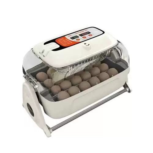 فروش دستگاه جوجه کشی ارکام 168 در رشت در گروه تجهیزات مرغداری در یکمیوه -عکس1