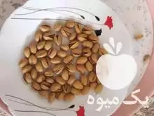 پسته احمد اقایی و کله قوچی در ساری در گروه خرید و فروش پسته در یکمیوه -عکس1