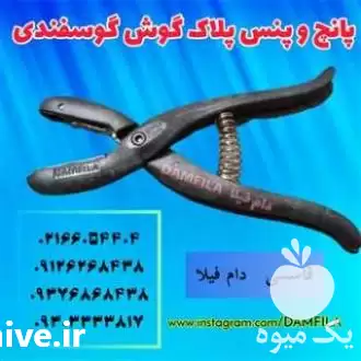 قیمت خرید پانچ پنس پلاک گوش در تهران در گروه تجهیزات دامداری در یکمیوه -عکس1