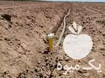 قیمت خرید لوله اتصالات قطره ای در ابهر در گروه خرید و فروش دستگاه آبیاری در یکمیوه -عکس1