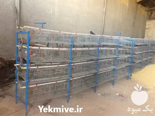 قیمت خرید قفس مرغ تخم گذار در سمنان در گروه تجهیزات مرغداری در یکمیوه -عکس1