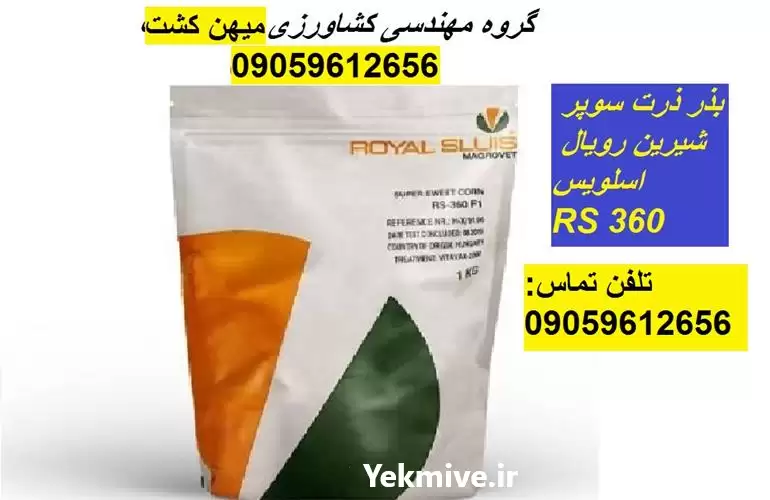 بذر ذرت رویال اسلویس RS 360 در شیراز در گروه خرید و فروش بذر ذرت در یکمیوه -عکس1