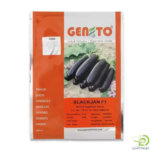 فروش بذر بادمجان بلک جان در تهران در گروه خرید و فروش بذر بادمجان در یکمیوه -عکس1