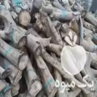 قیمت خرید چوب زغالی تامسون در نکا در گروه خرید و فروش چوب زغالی در یکمیوه