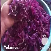 قیمت خرید گل گاوزبان قزوین در گروه خرید و فروش گیاهان دارویی در یکمیوه