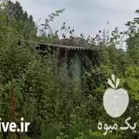 انواع علف تراشی در چالوس در گروه خدمات باغبانی در یکمیوه