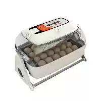 فروش دستگاه جوجه کشی ارکام 168 در رشت در گروه تجهیزات مرغداری در یکمیوه