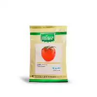 قیمت خرید بذر گوجه موناکو میلرسیدز در تهران در گروه خرید و فروش بذر گوجه در یکمیوه