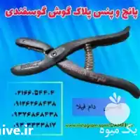 قیمت خرید پانچ پنس پلاک گوش در تهران در گروه تجهیزات دامداری در یکمیوه