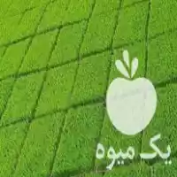 قیمت خرید تیم نشا در آمل در گروه خرید و فروش نشا در یکمیوه