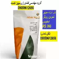 بذر ذرت رویال اسلویس RS 360 در شیراز در گروه خرید و فروش بذر ذرت در یکمیوه