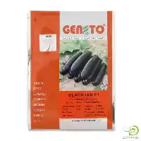 فروش بذر بادمجان بلک جان در تهران در گروه خرید و فروش بذر بادمجان در یکمیوه