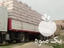 قیمت خرید کاه کردستان و جو همدان در قوچان در گروه خوراک دام و طیور در یکمیوه -عکس1