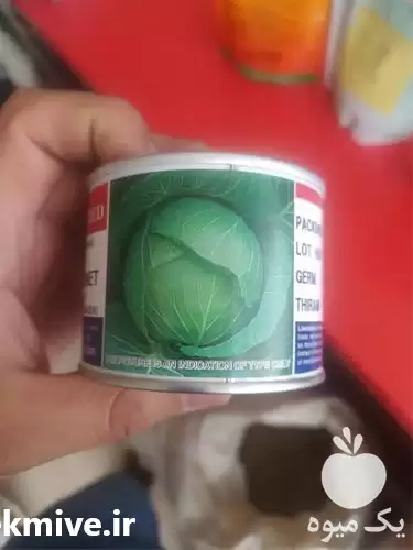 قیمت خرید ارسال بذر کلم پیچ در بیرجند در گروه خرید و فروش بذر صیفی جات در یکمیوه -عکس1