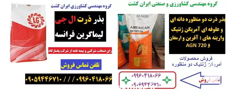 قیمت خرید بذر ذرت دانه ای در کرمانشاه در گروه خرید و فروش بذر ذرت در یکمیوه -عکس1