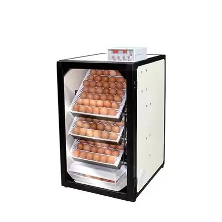 قیمت خرید دستگاه جوجه کشی در رشت در گروه تجهیزات مرغداری در یکمیوه -عکس1