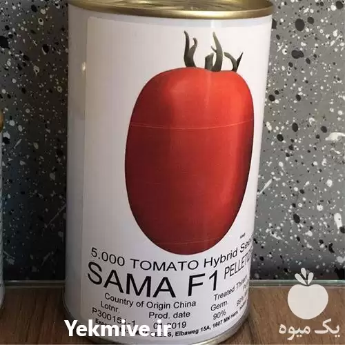 قیمت خرید بذر گوجه فرنگی سما در بوشهر در گروه خرید و فروش بذر گوجه در یکمیوه -عکس1