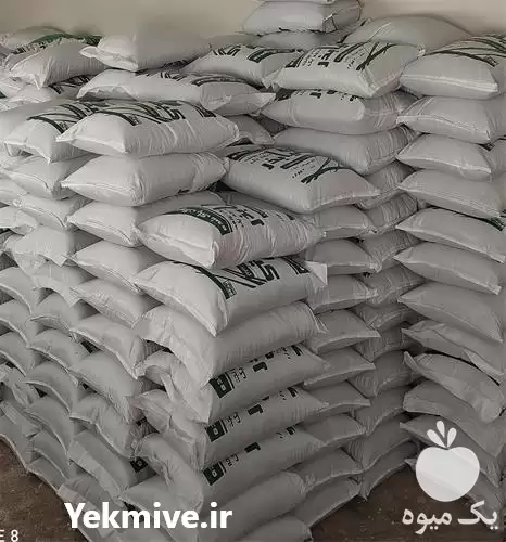 فروش بذر یونجه در گروه خرید و فروش بذر یونجه در یکمیوه -عکس1