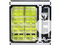 قیمت خرید دستگاه جوجه کشی شتر در تهران در گروه تجهیزات مرغداری در یکمیوه -عکس1