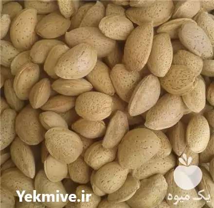 قیمت خرید بادام درختی ملایر در تهران در گروه خرید و فروش بادام در یکمیوه -عکس1