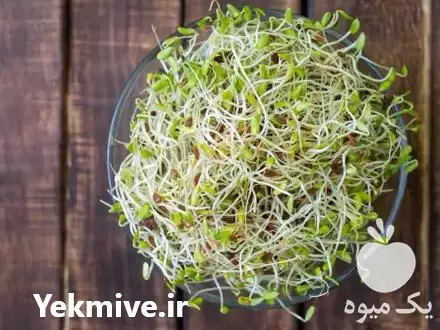 فروش تولید انواع جوانه ماش در اصفهان در گروه خرید و فروش غلات و حبوبات در یکمیوه -عکس1