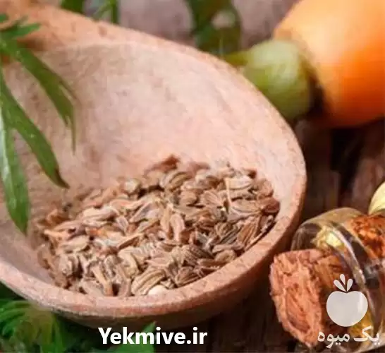 بذر هویج اپتیمو پر فروش ترین در گروه خرید و فروش بذر هویج در یکمیوه -عکس1