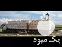 فروش کاه گندم کلش در اصفهان در گروه خوراک دام و طیور در یکمیوه -عکس1