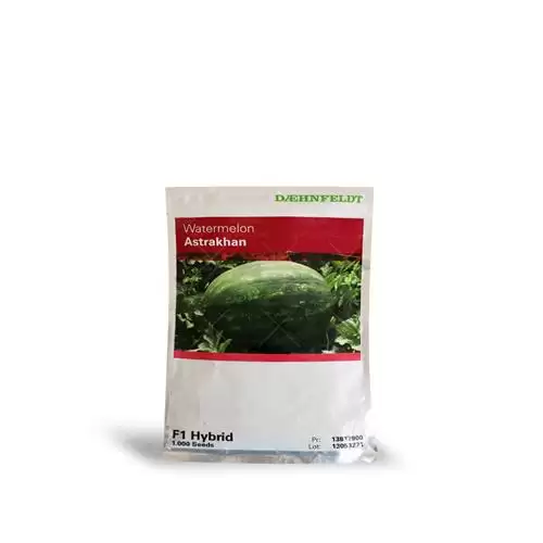 فروش بذر هندوانه آستراخان در تهران در گروه خرید و فروش بذر هندوانه در یکمیوه -عکس1