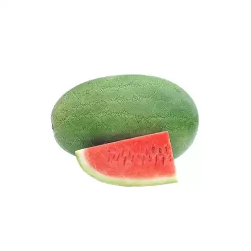 قیمت خرید بذر هندوانه فارائو در تهران در گروه خرید و فروش بذر هندوانه در یکمیوه -عکس1