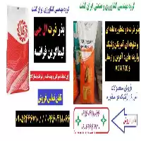 قیمت خرید بذر ذرت دانه ای در کرمانشاه در گروه خرید و فروش بذر ذرت در یکمیوه