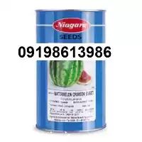 فروش بذر هندوانه نیاگارا رقم استاندارد در تهران در گروه خرید و فروش بذر هندوانه در یکمیوه