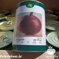 قیمت خرید بذر پیاز میگون در اهواز در گروه خرید و فروش بذر پیاز در یکمیوه