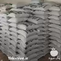 فروش بذر یونجه در گروه خرید و فروش بذر یونجه در یکمیوه