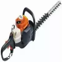 فروش شمشادزن در کرج در گروه خرید و فروش شمشاد زن در یکمیوه