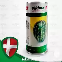 فروش بذر هندوانه سوپر دراگون در هرمز در گروه خرید و فروش بذر هندوانه در یکمیوه