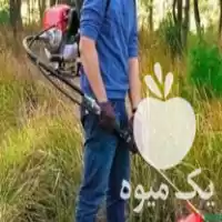 علف تراشی باغ و مزارع در گروه خدمات باغبانی در یکمیوه