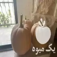 قیمت خرید کدو حلوایی شیرین در گروه خرید و فروش کدو در یکمیوه