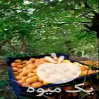 فروش تخمه کدو مقدار الی کیلو در گروه خرید و فروش انواع تخمه در یکمیوه